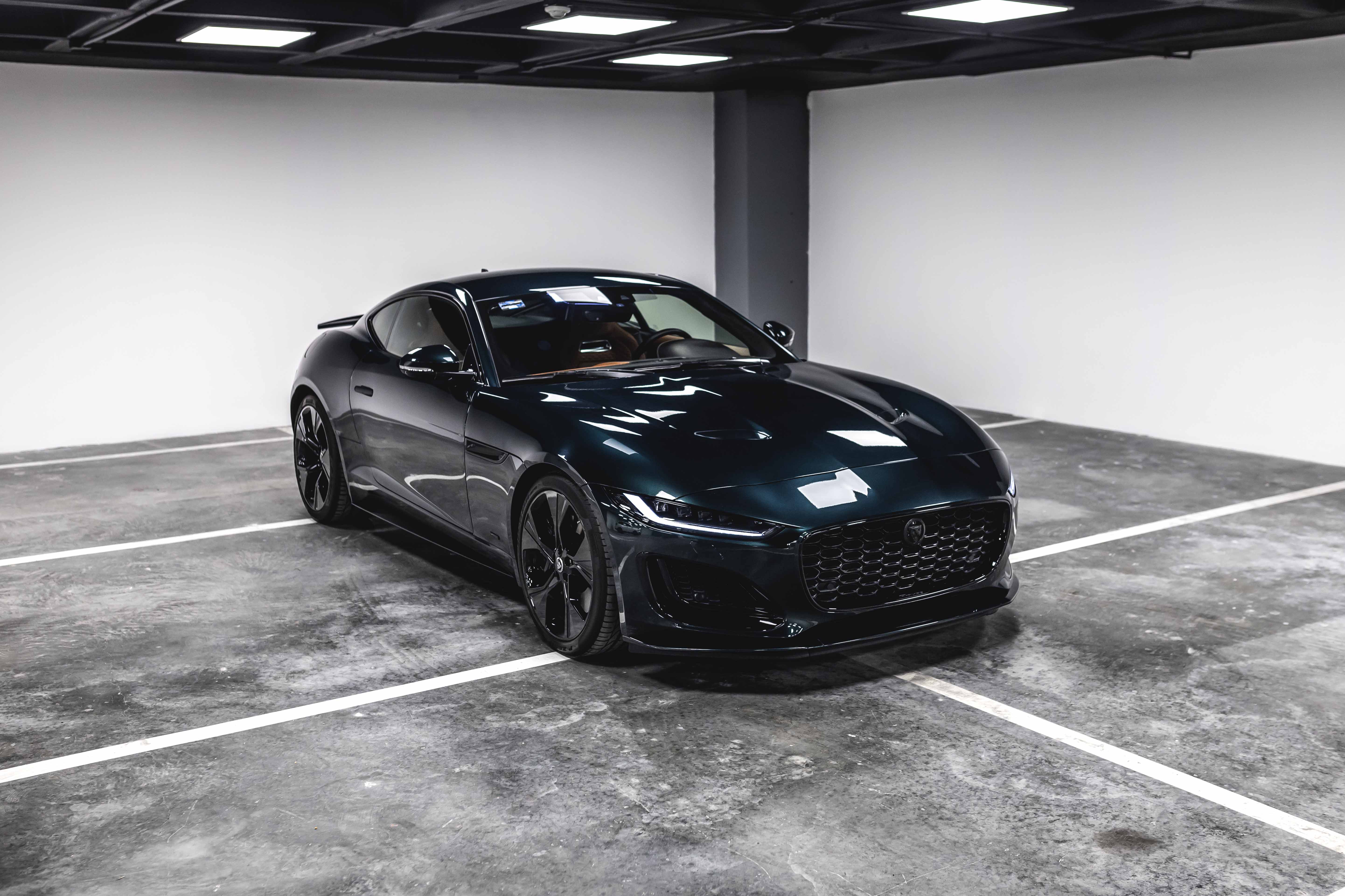 F Type P450